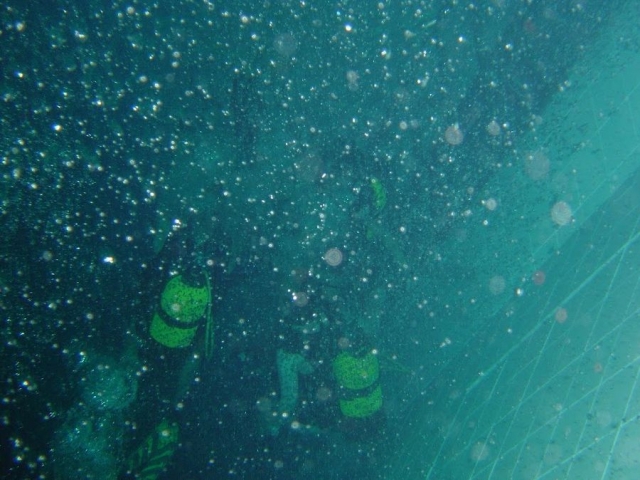  Tus primeras burbujas con el Creillois Subaquatique